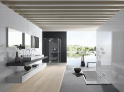 Designer Bathroom